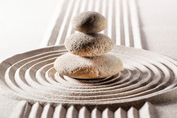 The Calm & Resilient Reset Programme