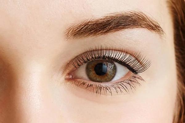 Eyelash & Brow Tint
