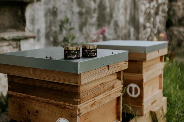 Queen Bee Mother's Day Spa