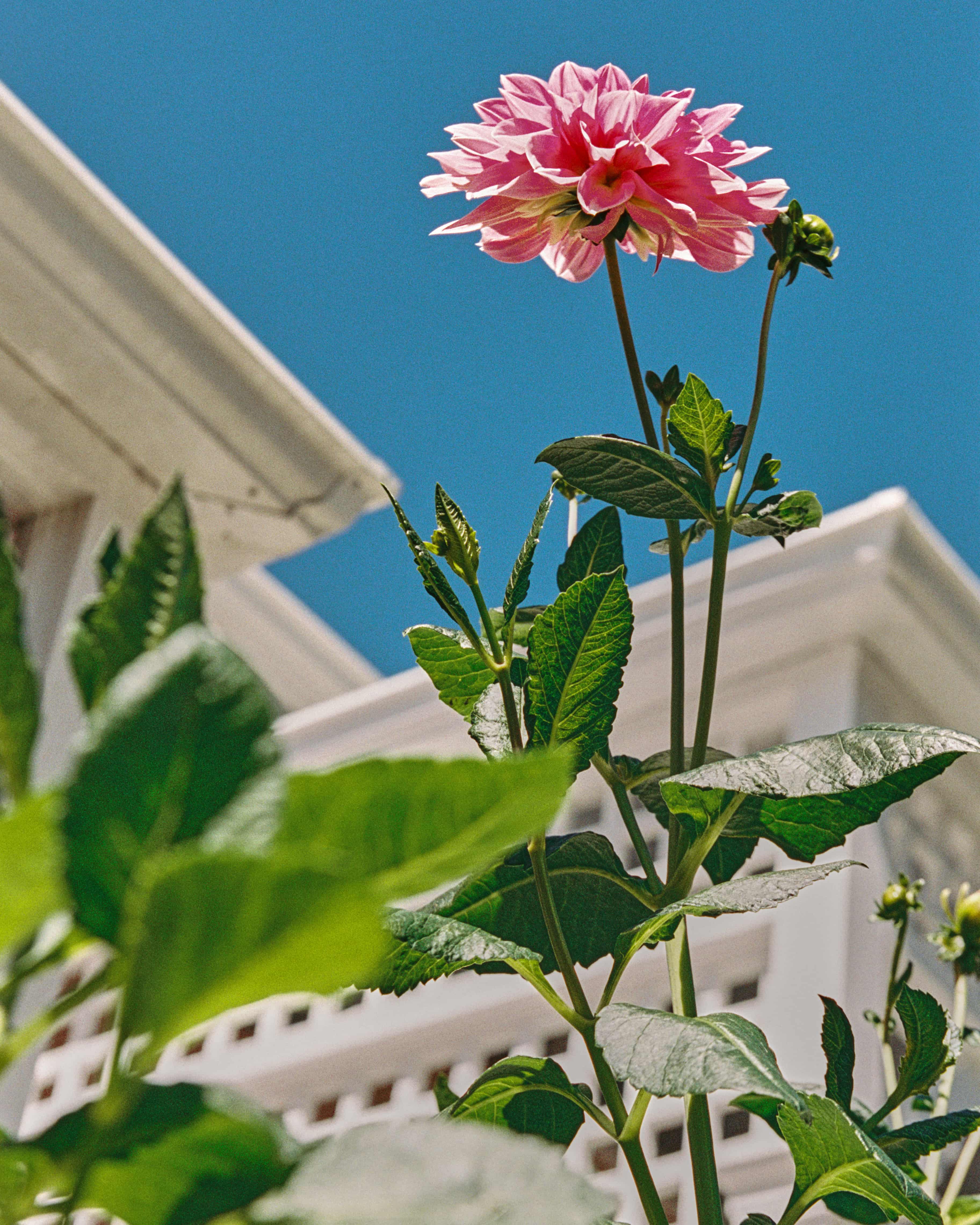 Nurturing Mother-To-Be Massage