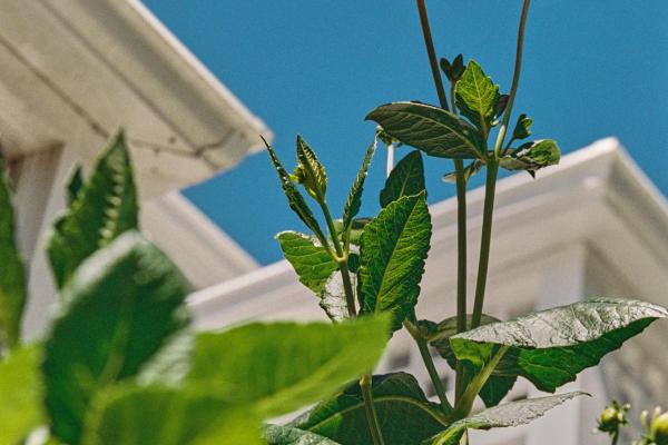 Nurturing Mother-To-Be Massage