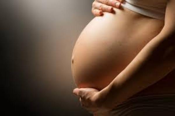 Organic Prenatal Voyager