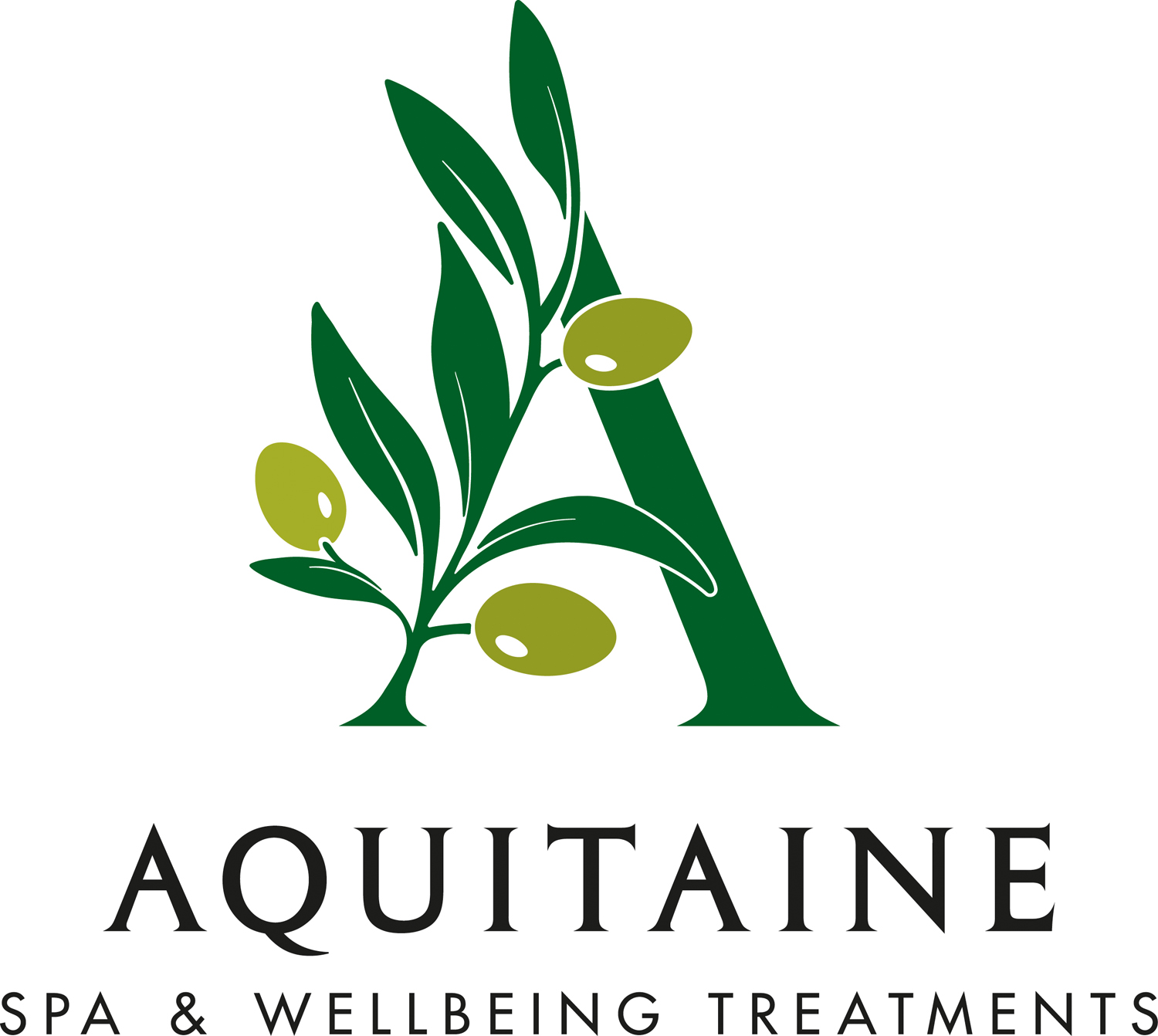 The White Hart Hotel