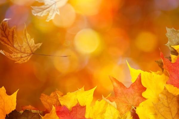 Autumn Essence